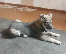 ������. ����