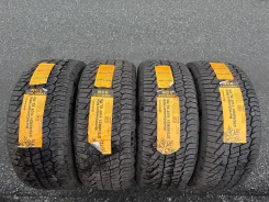 Continental NorthContact NC6. ������, ��� �����, 2023 ���, ����� ����