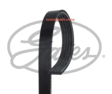 ������ ������������ XF Gates 5PK970 5PK970 ����