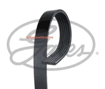 ������ ������������ XF 68436 Gates 6PK1888 6PK1888 ����