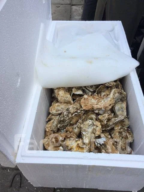 ��������������. �� ������ ������� �������. ����� ������������ 16� ����