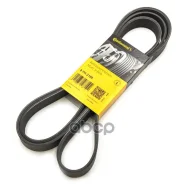 ������ ���������� OPEL Frontera A/Chrysler JEEP Cherokee/ 8PK2188 [178Contitech8PK2188] 8PK2188 ����