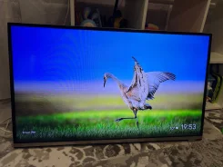 DNS K42DS712. LCD (��) ����