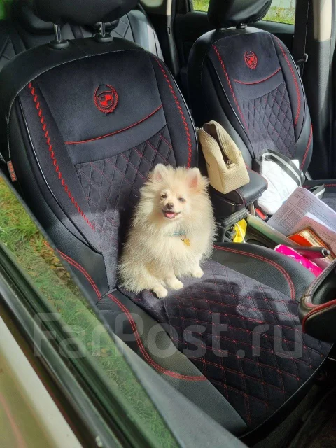 ����. ����