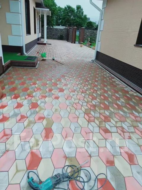 ��������������� ��������� ����