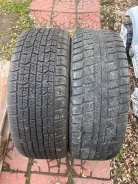 Goodyear Ice Navi Zea. ������, ��� �����, �/�, ����� 50 % ����