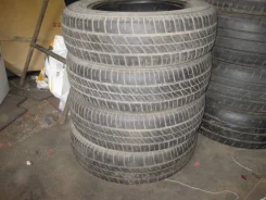 Sava Perfecta. ������, 2018 ���, �/�, ����� 50 %. �������� ������� ����