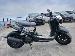 Honda Zoomer