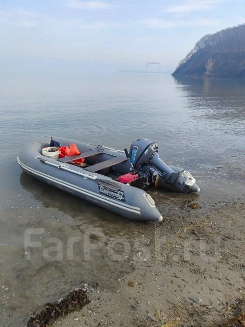 ���������. 2020 ���, ����� 3,25��., ��������� ���������, 9,9��.�., ������ ����
