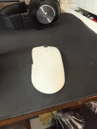���� �������. ����