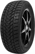 Delinte Winter WD1