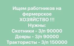 --, .  