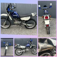 Suzuki Djebel 200. 200����. ��., ��������, ���������, ������ �� �� ����