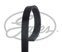 ������ 5PK 870-875/5PK875 Roadmax/Gates 58355 5PK875 ����