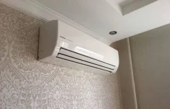 ������������ �������������. ����