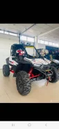 Polaris RZR. ��������, ��, �� ����