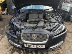 Jaguar XF. SAJAC05TXFDU46352 ����