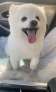 ����. ����