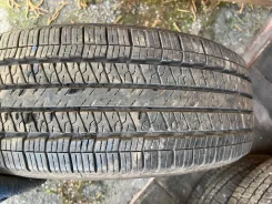 Triangle THW10. ������, 2023 ���, �/�, ����� 5 % ����