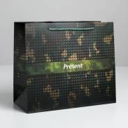    Present, ML 27 x 23 x 11,5  