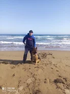 �������� �������. ����