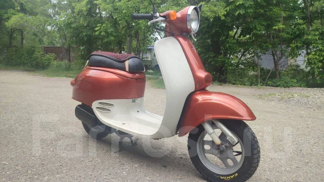 Honda Giorno. 49����. ��., ��������, ���������, ������ �� �� ����