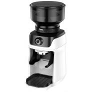 ���������. ����