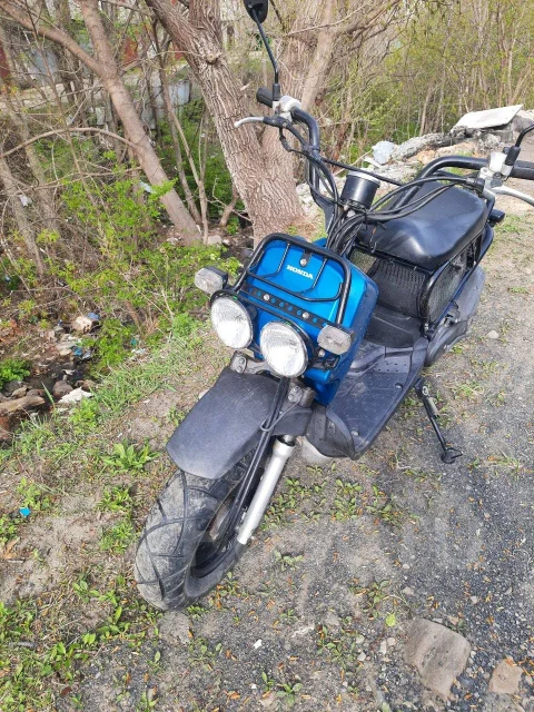 Honda Zoomer. 49����. ��., ��������, ��� ���, ������ �� �� ����