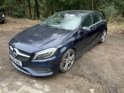 Mercedes-Benz A-Class. WDD1760422J748768 ����