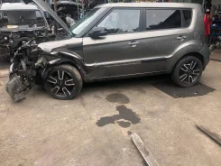 Kia Soul. KNAJT813LD7512669 ����