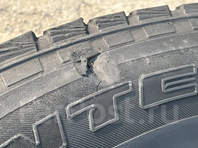 Bridgestone Winter Dueler DM-Z2. ������, ��� �����, �/�, ����� 80 % ����