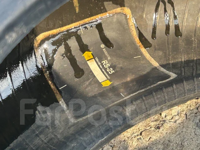 Bridgestone Winter Dueler DM-Z2. ������, ��� �����, �/�, ����� 80 % ����