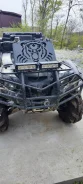 Yamaha Grizzly 700. ��������, ��, �� ����