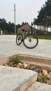 ������ �����������. ����