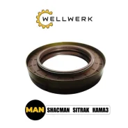 ������� �������, 81965030399 Wellwerk 81965030399 ����