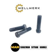 ���� ��������� ������, 81455010058 Wellwerk 81455010058 ����