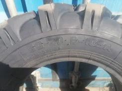 Forward AC 8. �����������, 2024 ���, ����� ����