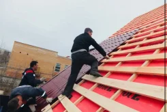 ������ ������. ����