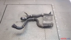 �������� ����������� Nissan Juke 2010-2019 20273093 14461EM00A ����
