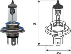 Bulb 002555100000 Magneti Marelli 002555100000 ����