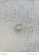 ���� ����� ����������� ���� ����� Volvo ���. 1307452 1307452 ����