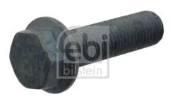 Raw Hex bolts 17864 FEBI 17864 ����