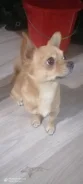 ����� �����. ����