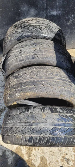 Zeta Azura. ������, 2019 ���, �/�, ����� 10 % ����