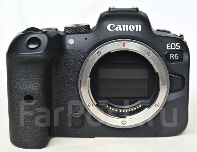 Canon EOS R6 ����