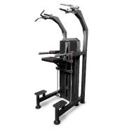   100  BRONZE GYM PARTNER ML-823 