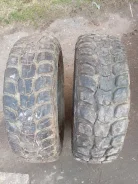 Marshal Road Venture MT KL71. ����� mt, 2018 ���, �/�, ����� 35 %. ��������� ����