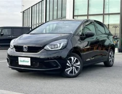Honda Fit. ��������, 4wd, 1.3 (98��.�.), ������, 15 000����. ��, �/�. ��� ����� �� ������������ ����
