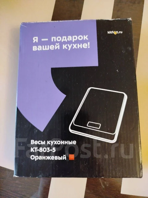 ���� ��������. ����