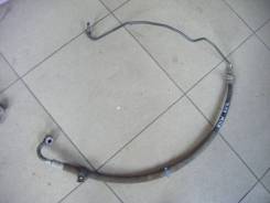 ,   MB815362 